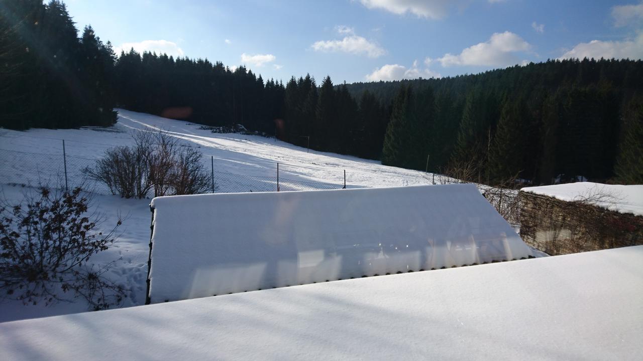 Quellenhof Altenau Altenau  Zewnętrze zdjęcie